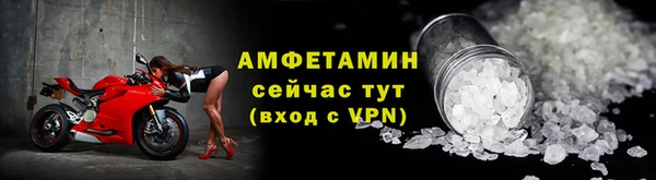 стафф Дмитриев