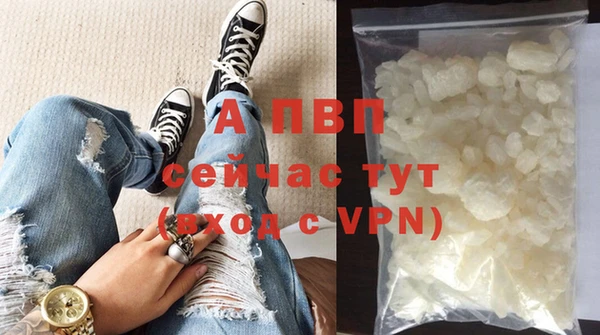 стафф Дмитриев