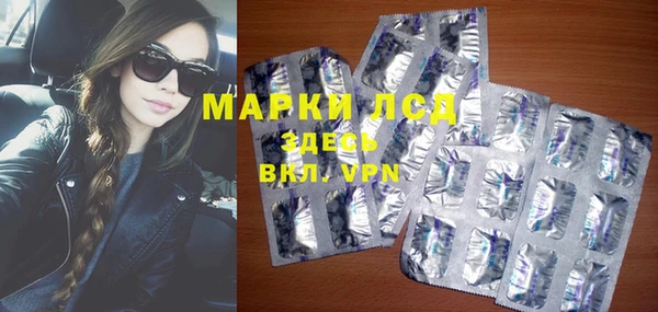 стафф Дмитриев