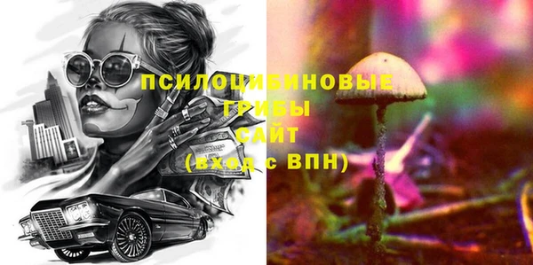 стафф Дмитриев